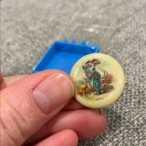 Vintage Iowa Souvenir Pin